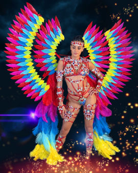 01. Payment #1: "RADIANCE"  Ultra-Frontline Bikini