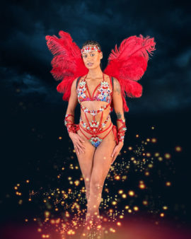 04. Payment #1: "RADIANCE"  Midline Bikini