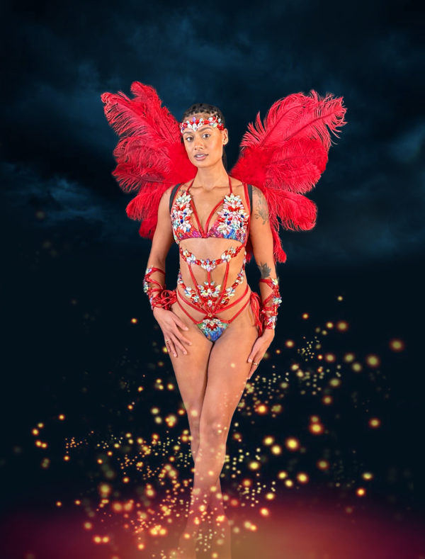 04. Payment #3: "RADIANCE"  Midline Bikini