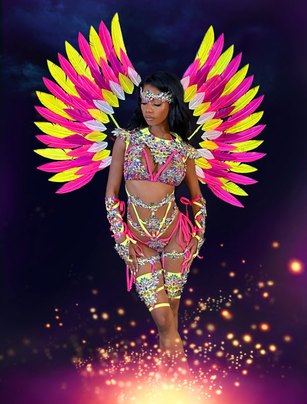 27. "SOCA SWEETHEART" Ultra-Midline Bikini